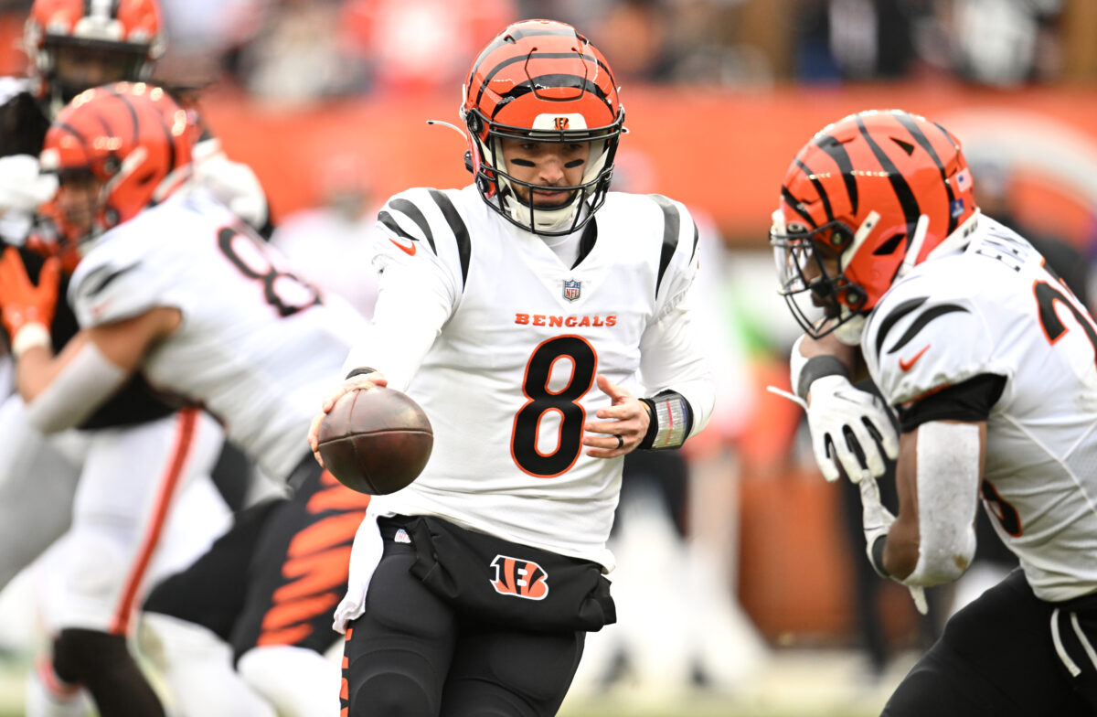 Brandon Allen and the Bengals Move On to AFC Divisional Round
