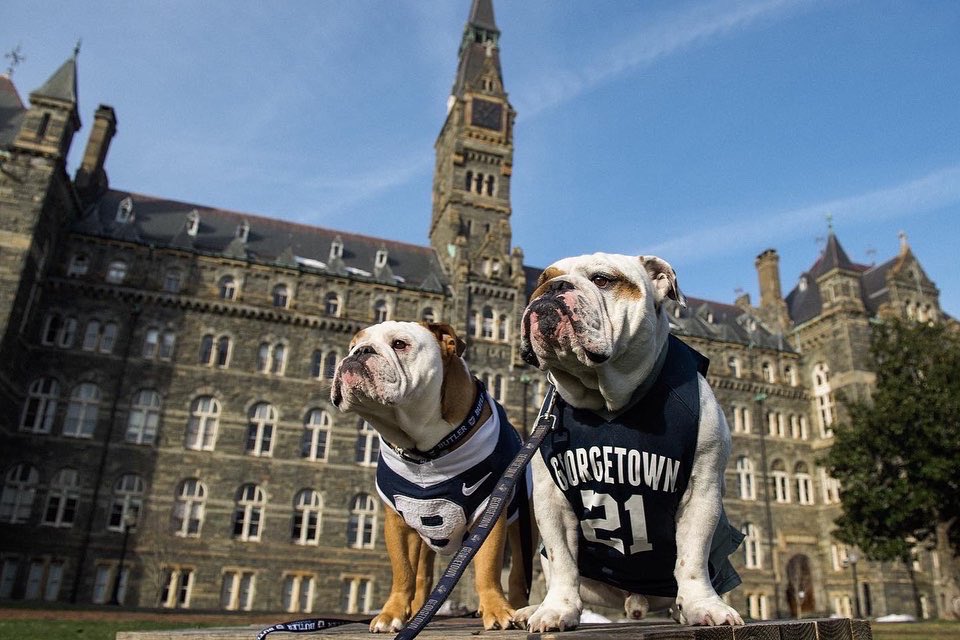 Butler’s adorable mascot dog road trip included visits with some similarly very good mascot pups