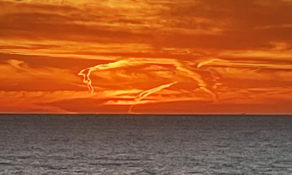 Thar she glows! Dramatic sunset reveals whale likeness