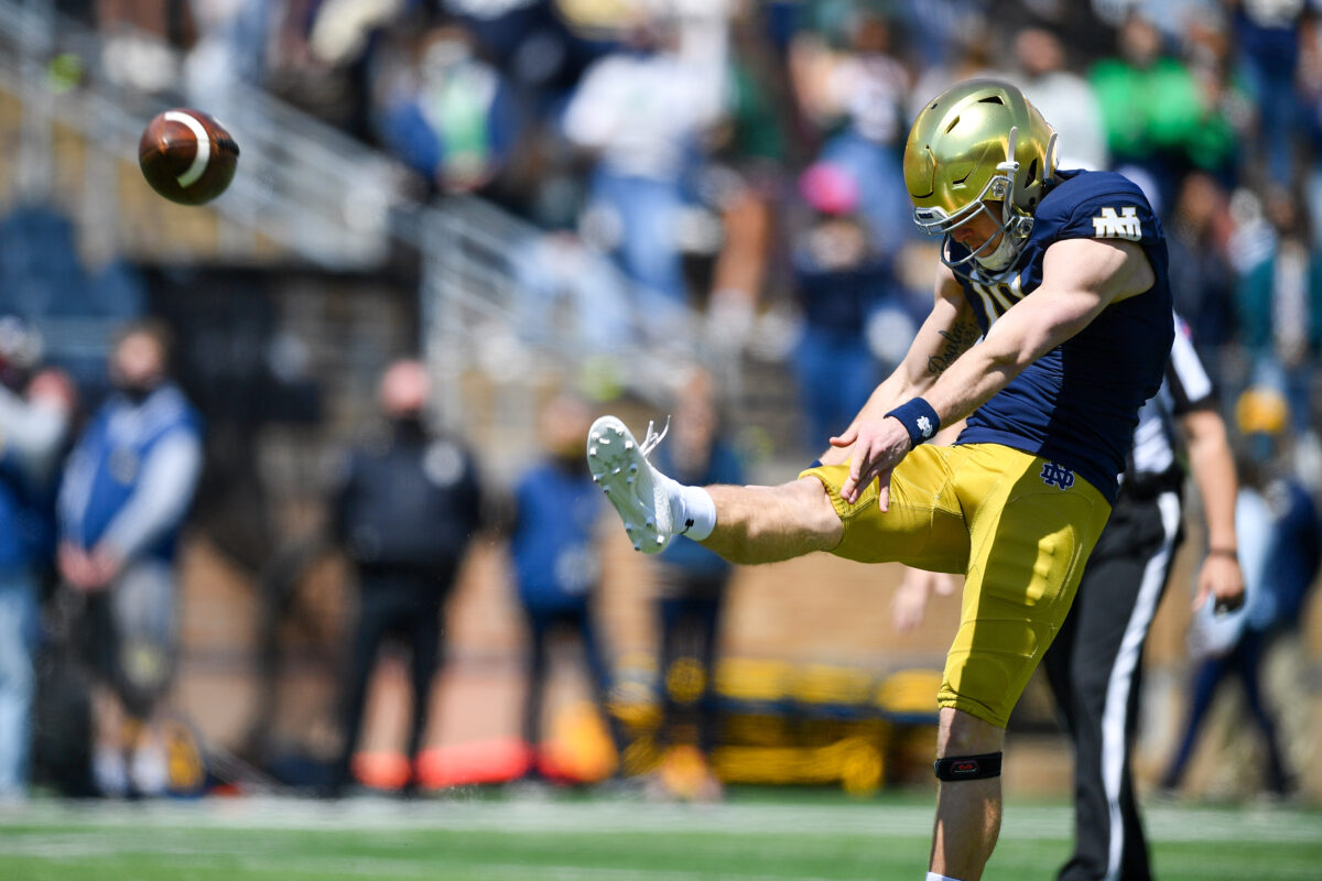LSU adds former Notre Dame punter to the team