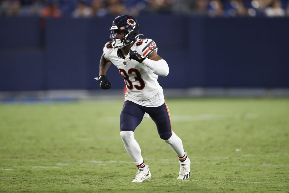 Bears sign WR Dazz Newsome from practice squad to active roster