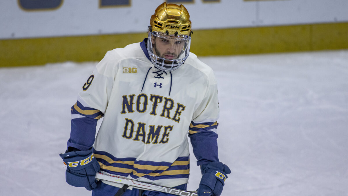 Notre Dame hosts Minnesota in important series this weekend