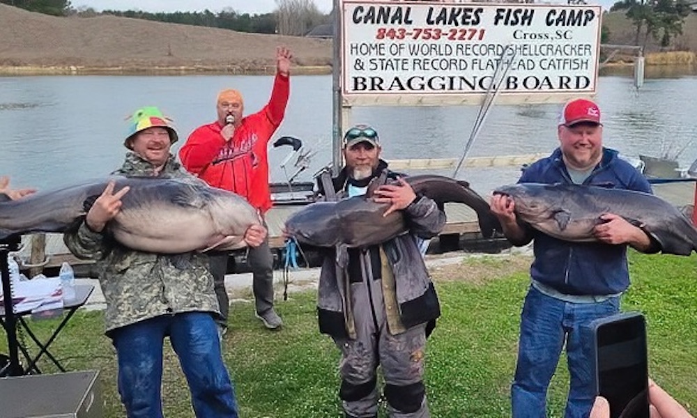 Angler makes tournament splash with catch of 106-pound catfish