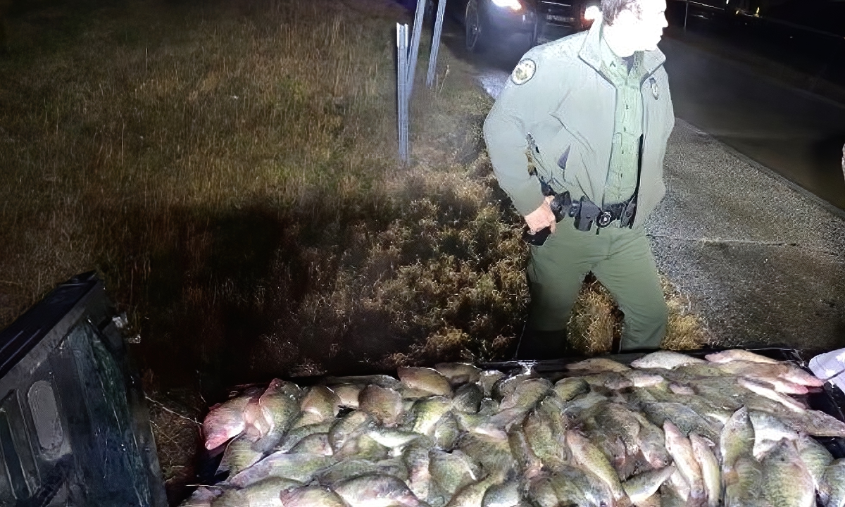 Anglers busted with 152 crappie over the daily limit