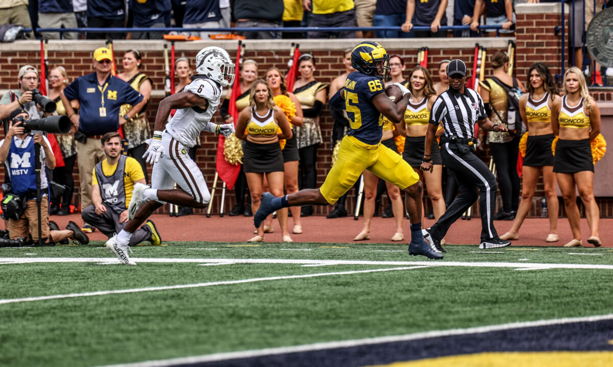 Michigan wide receiver declares for NFL draft