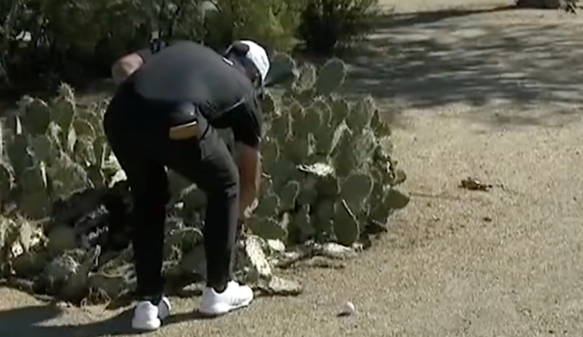 Golfer Xander Schauffele quickly regretted trying to move a cactus at the Phoenix Open