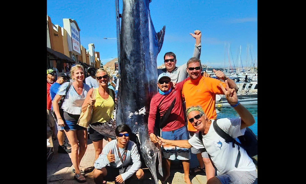 Anglers set out for tuna, land 1,000-pound blue marlin