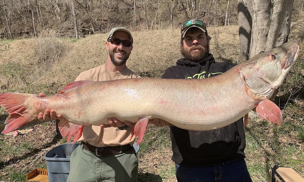 Catch of giant muskie breaks 25-year-old record