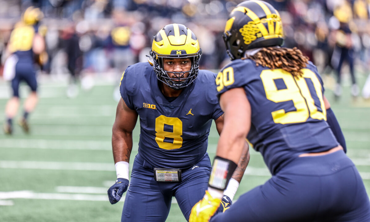 Two Michigan first-year defensive linemen who impressed in spring ball