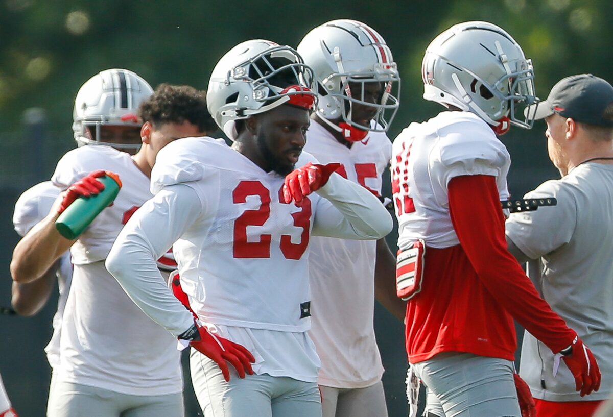 Another Ohio State defensive back hits the transfer portal