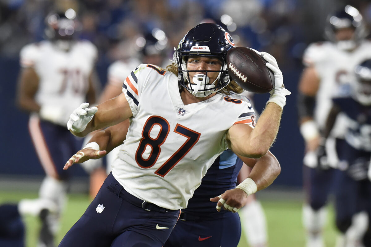 Bears re-sign TE Jesper Horsted to 1-year deal