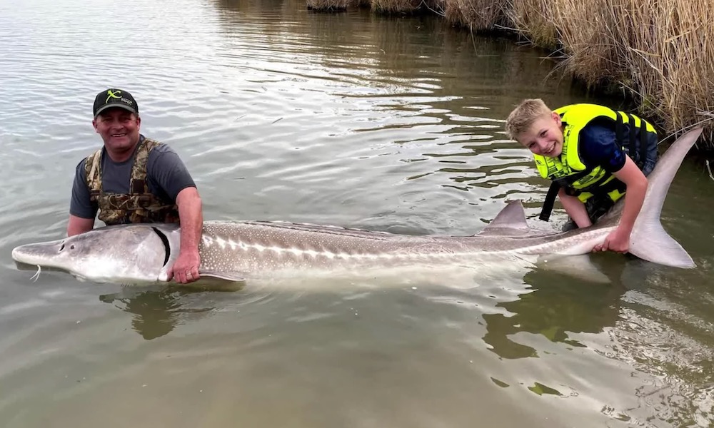 Boy’s latest fish of a lifetime is ‘an absolute giant’