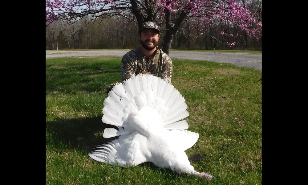 Critics take aim after hunter bags rare white turkey