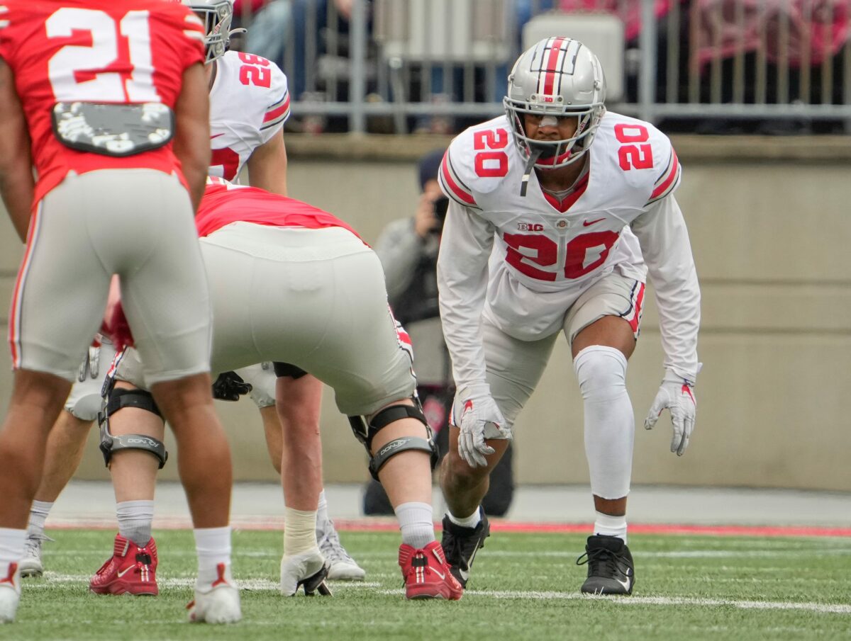 Ohio State defensive end Mitchell Melton lost for the year once again