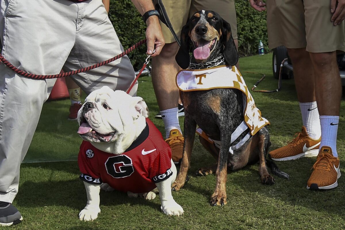 Ranking the best live mascots in the SEC