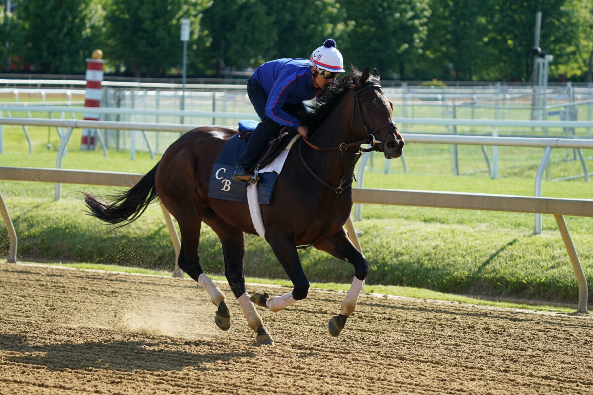 2022 Preakness Stakes: How big is the purse and how much money goes to the winner?