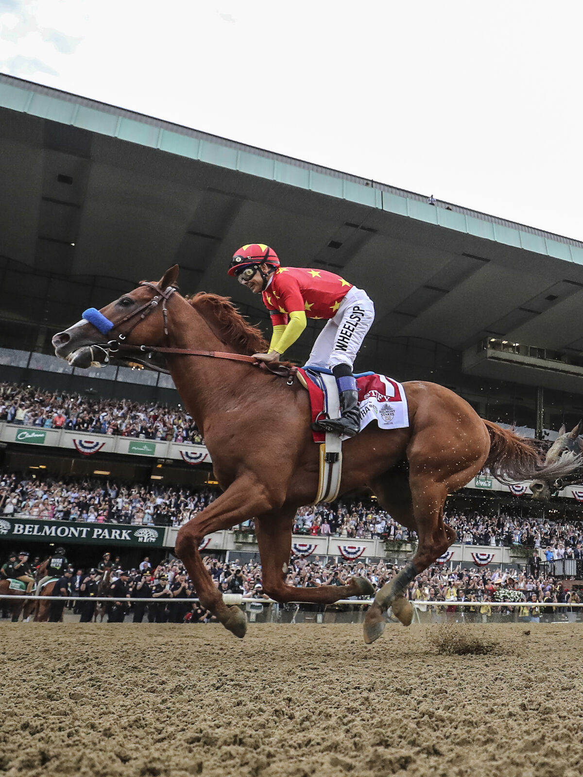 The 13 horses who have won a Triple Crown of thoroughbred racing
