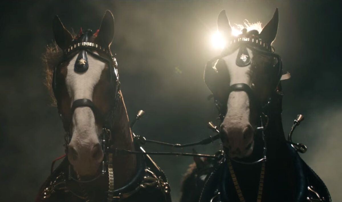 The first horse to appear in a Super Bowl commercial in the Ad Meter ratings? It’s not what you think