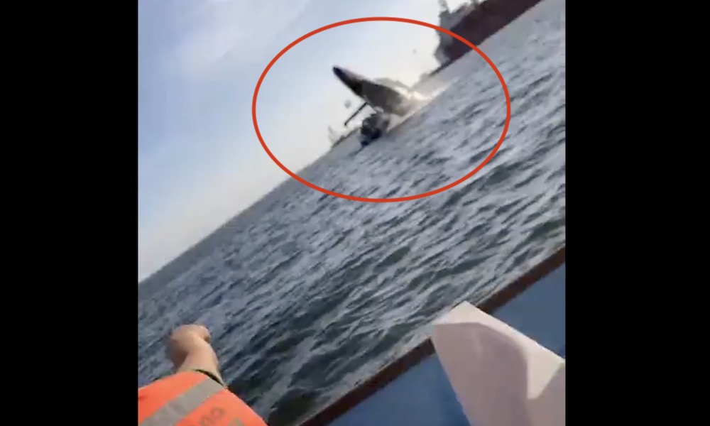 Watch: Breaching whale crashes onto boat, injuring passengers
