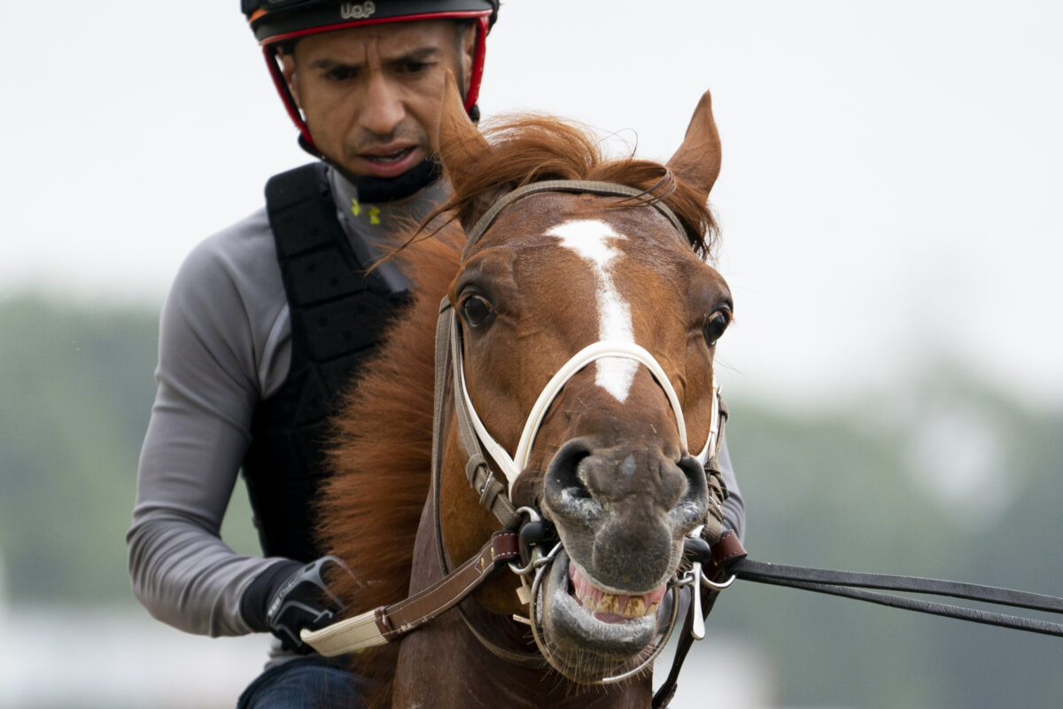 Every 2022 Belmont Stakes horse name, ranked