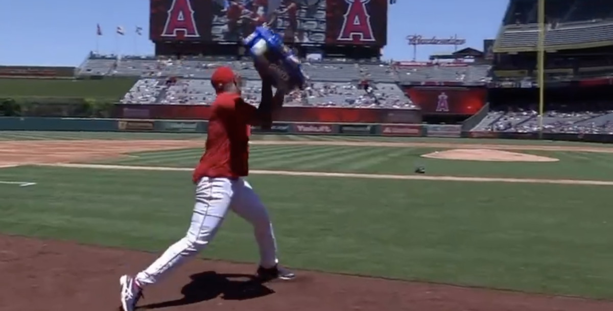 Raisel Iglesias threw an entire case of sunflower seeds after Angels-Mariners brawl and MLB fans had jokes