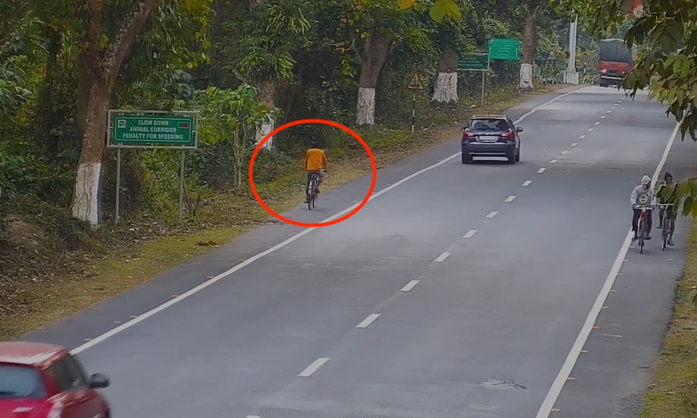 Watch: Leopard runs out of forest and knocks man off his bike