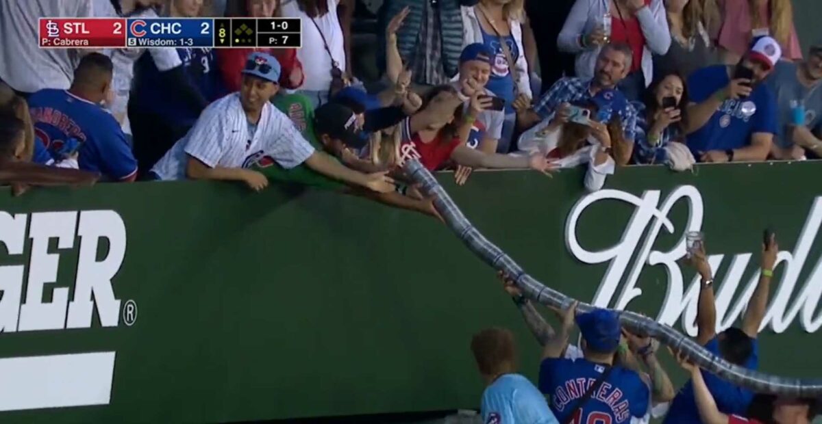 Cubs fans put together the most epic double-decker beer snake in the bleachers days after the cup pyramid knockdown