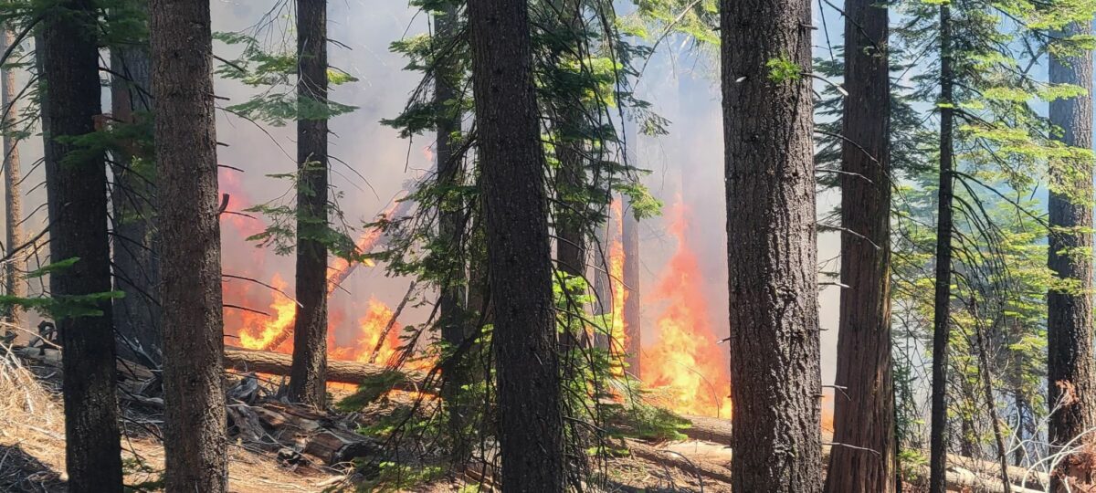 Yosemite wildfire closes Mariposa Grove, forces evacuations