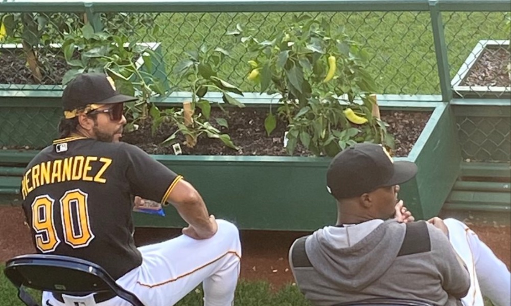 Aparentemente el bullpen de los Pittsburgh Pirates está cultivando vegetales, y está increíble