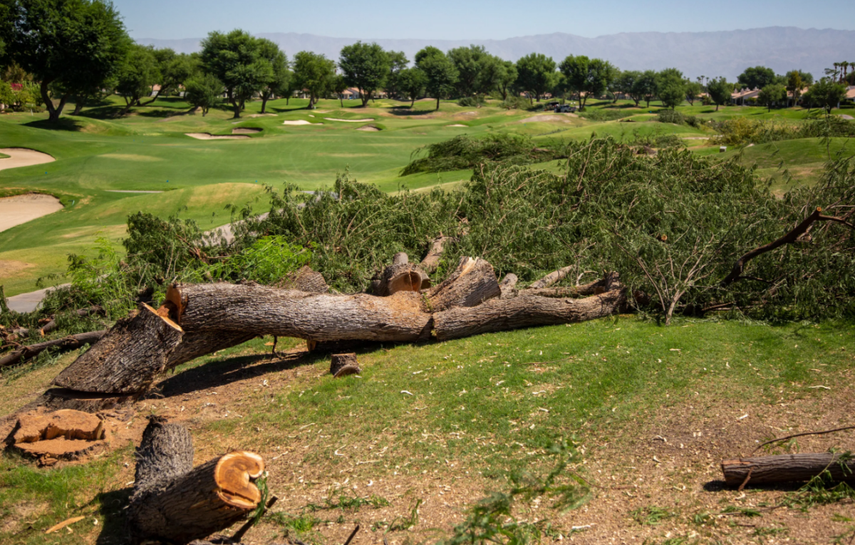 Back to the future: PGA West hoping to bring back original stunning Stadium Course look