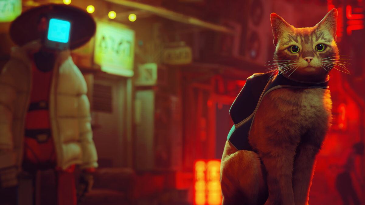 The internet is absolutely enamored with Stray, a game where you play as a cat