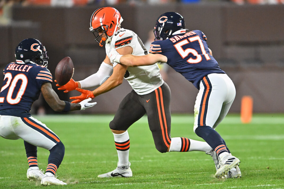 8 Bears bubble players who have earned a roster spot