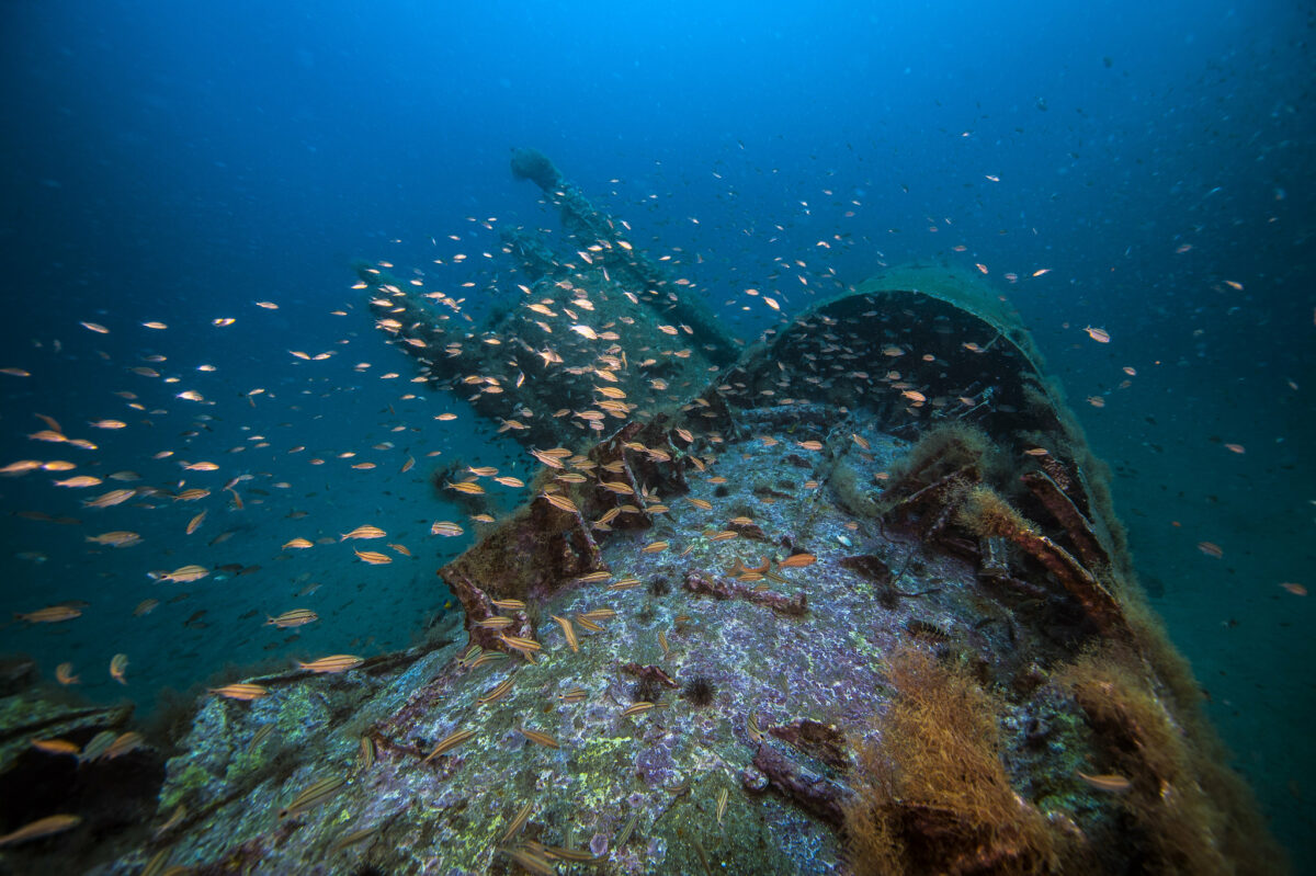 Dive into the history of this historic underwater shipwreck site
