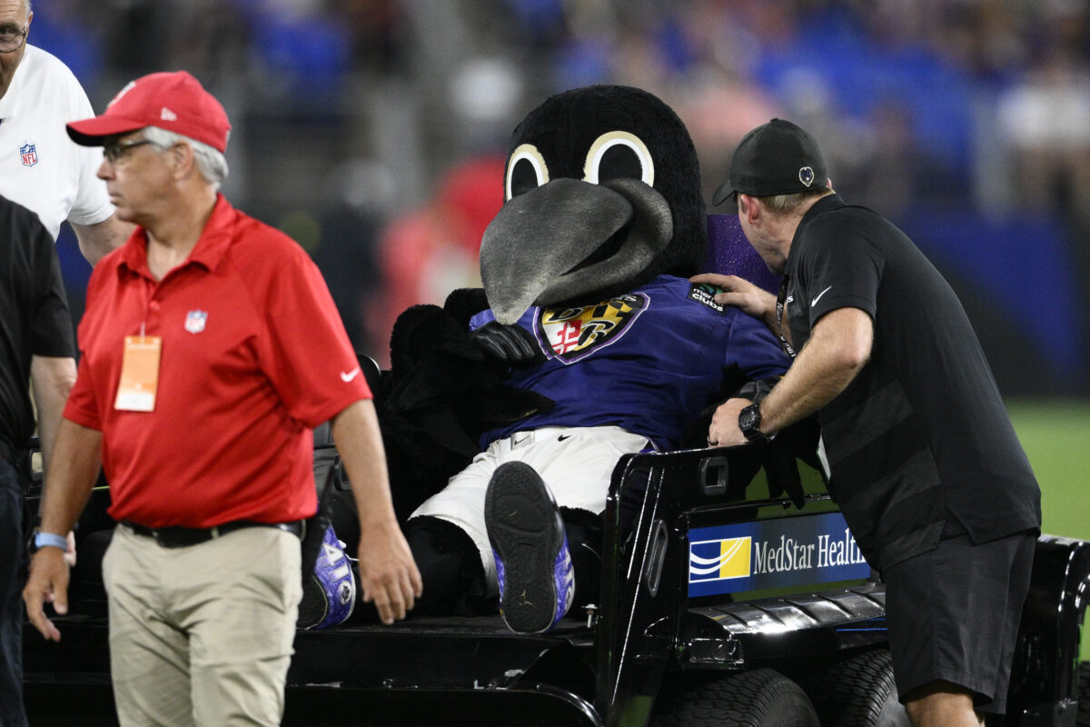 Ravens HC John Harbaugh weighs in on injury to team mascot Poe