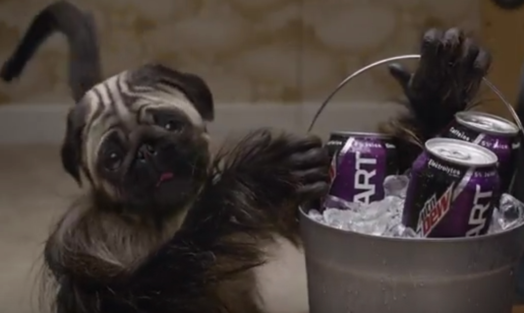 USA TODAY Ad Meter Rewind: Looking back at Mountain Dew’s ‘Puppy Monkey Baby’