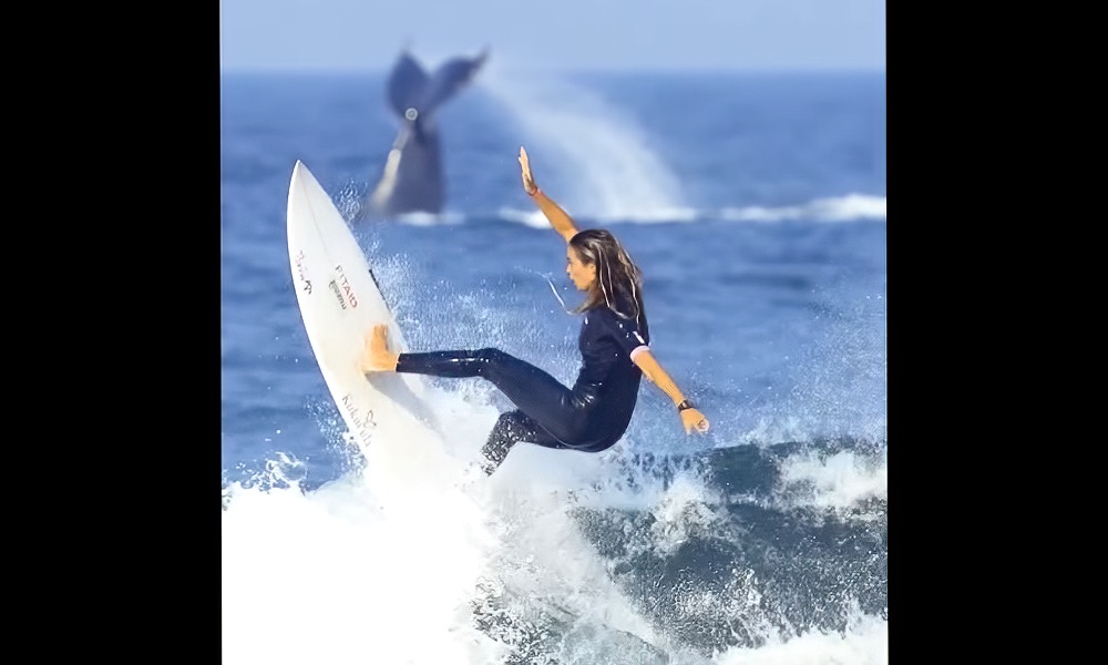 Pro surfer, whale display powerful moves in unison; video