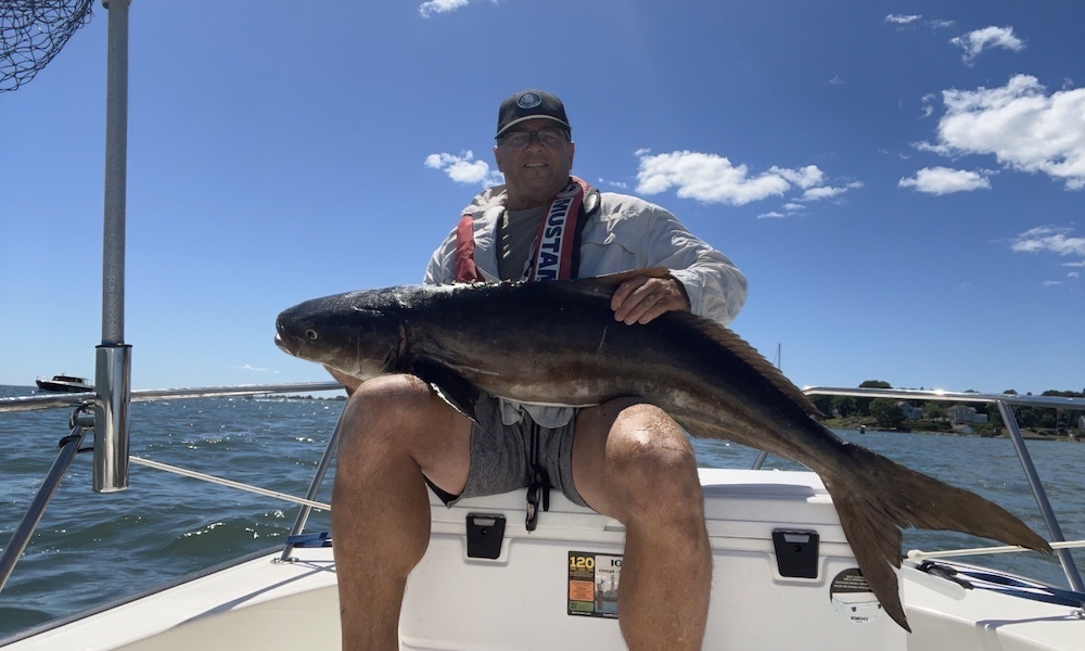 Angler’s mystery catch is a pending-record cobia