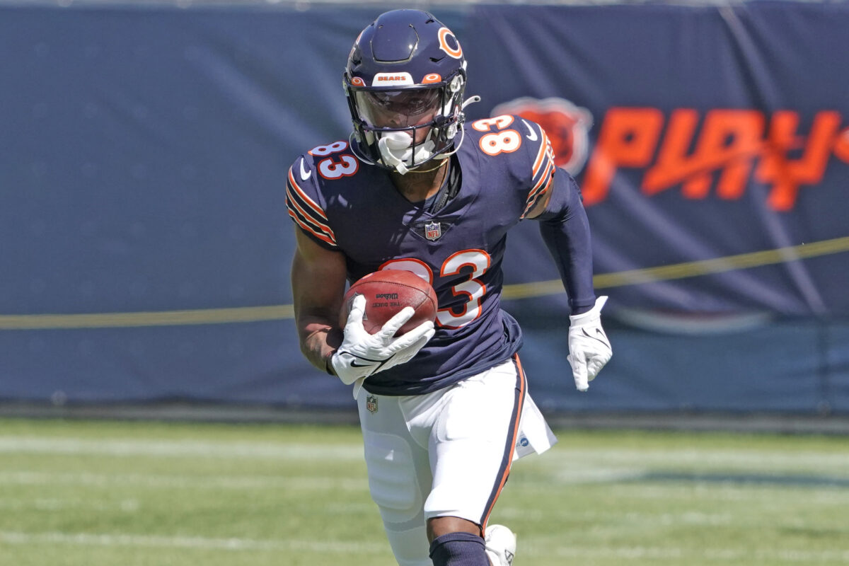 WATCH: Bears WR Dazz Newsome finds the endzone against the Chiefs