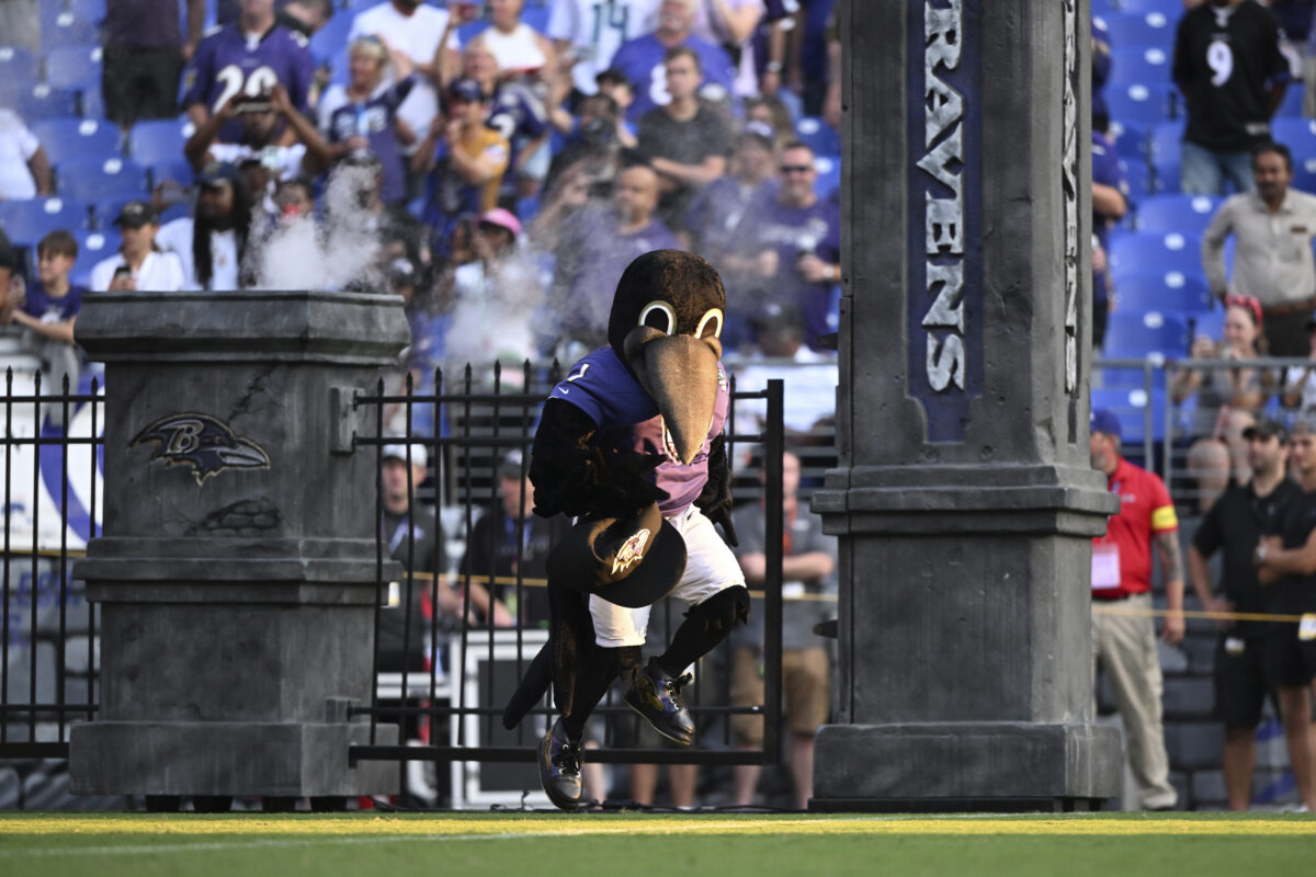 Ravens provide update on mascot Poe after injury during halftime