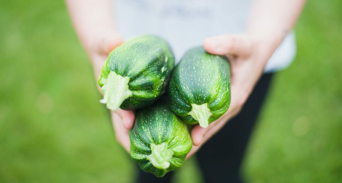 5 ways to gift zucchini for National Sneak Zucchini onto Your Neighbor’s Porch Day