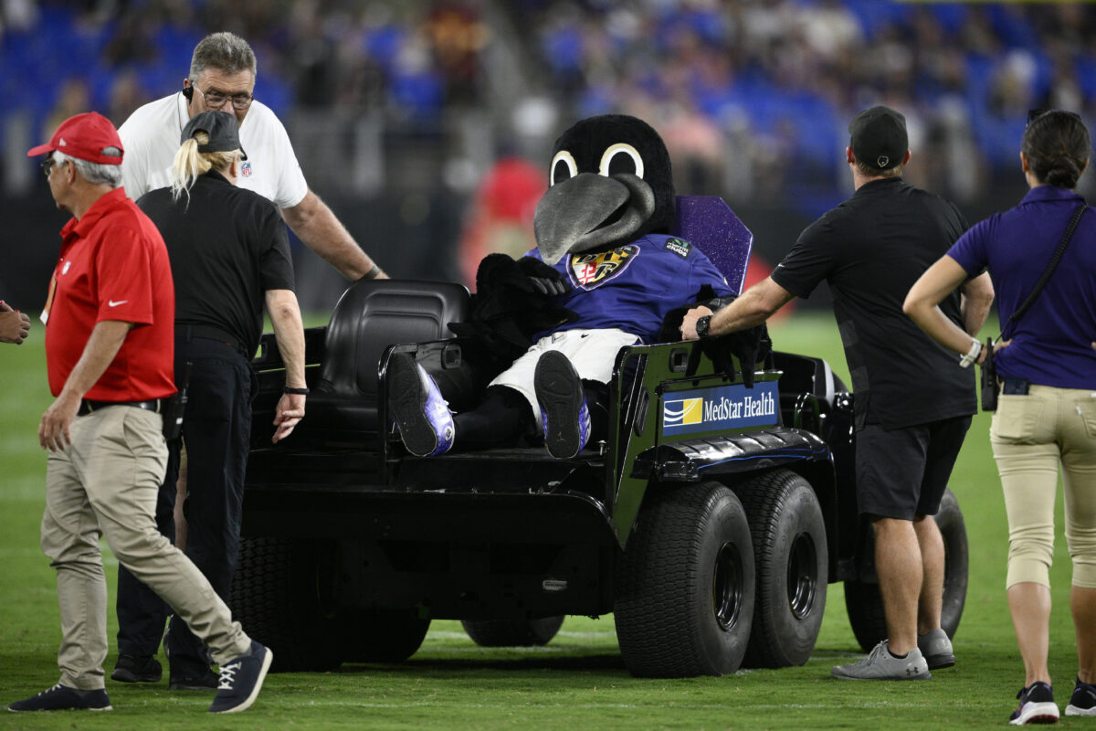 Baltimore Ravens mascot Poe is out for the season with a drumstick injury