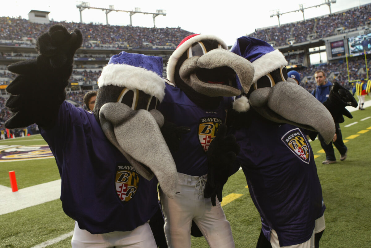 Ravens announce familiar replacements for injured mascot Poe