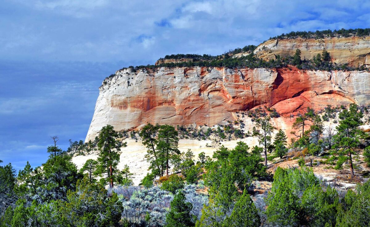 Enjoy Zion National Park on this gorgeous virtual hike