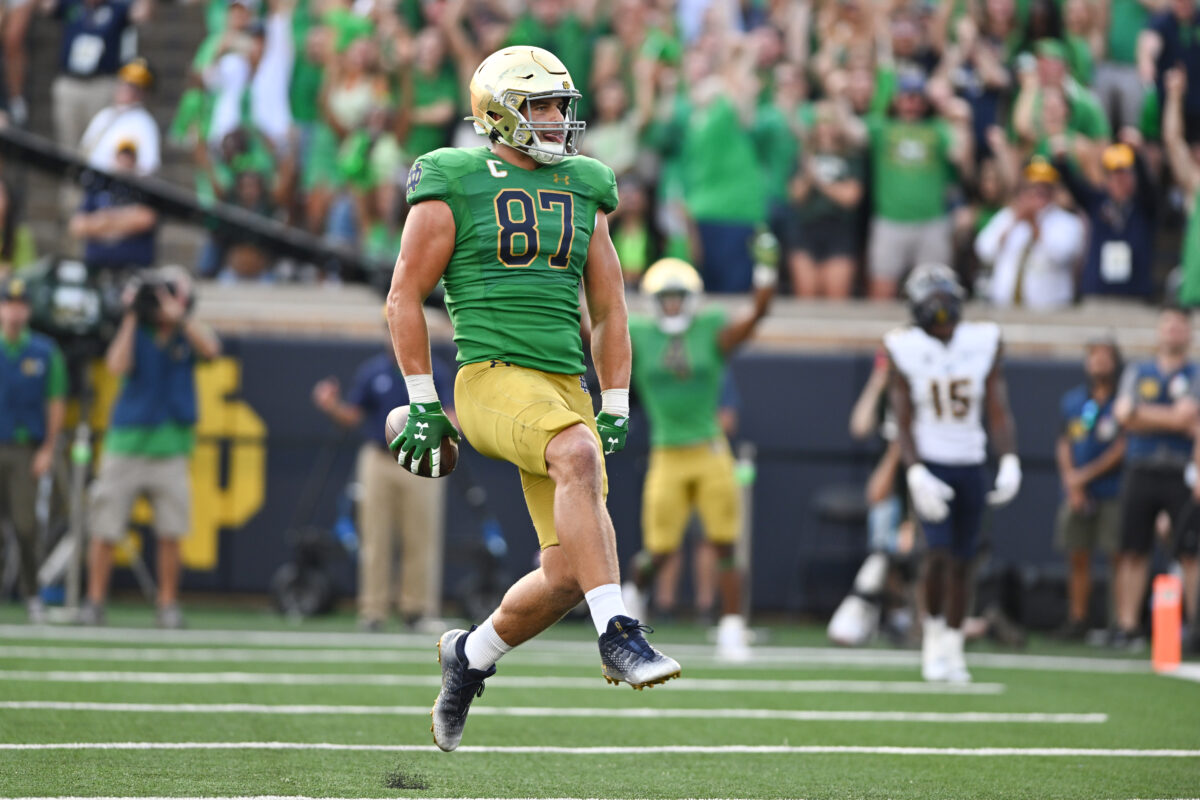 Twitter reacts to Michael Mayer touchdown to put Notre Dame on board