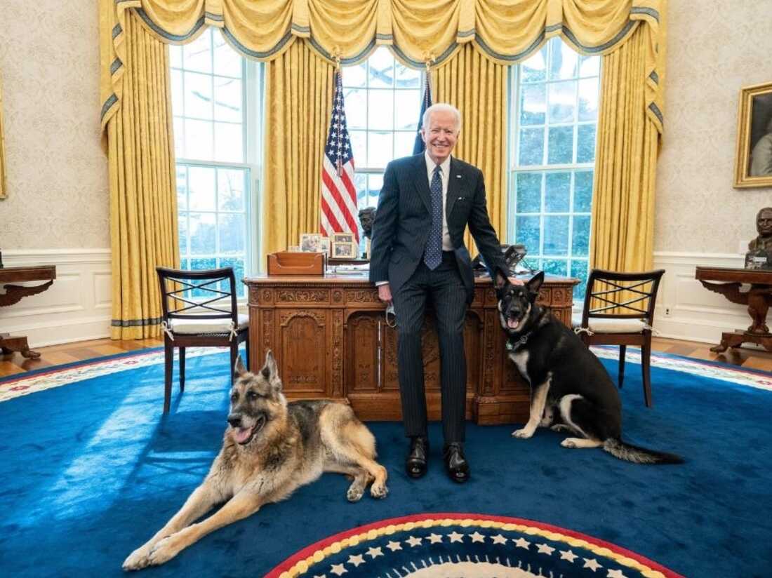 United States presidential dogs