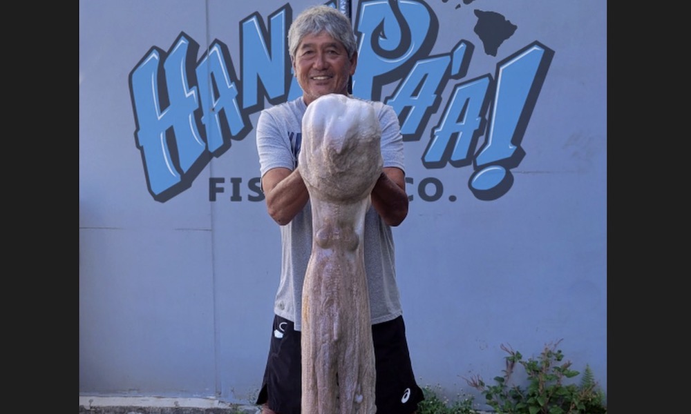 Angler reels in (and wrestles with) potential record octopus