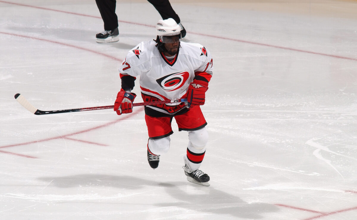 Anson Carter purchases professional hockey team