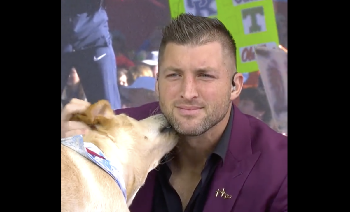 Juice Kiffin is a perfect dog, even if he’s eating Tim Tebow’s mic