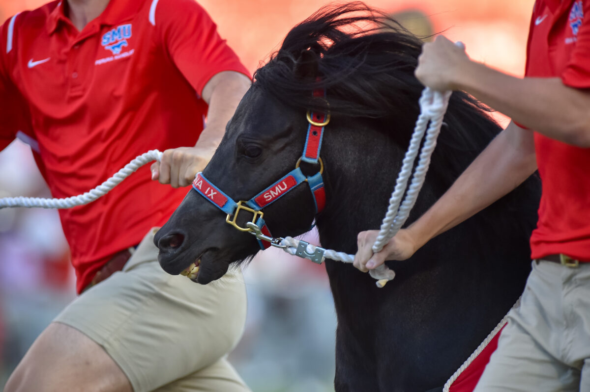 Navy-SMU game delayed after pony mascot has accident at 40-yard line