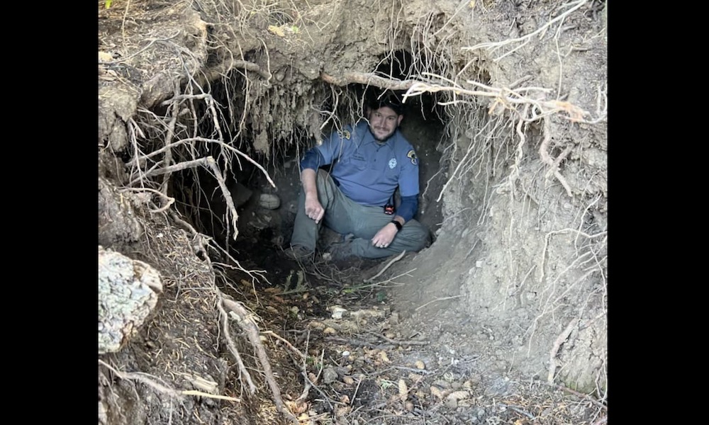 Biologists discover huge grizzly bear den with ‘spectacular view’